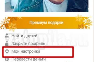 Hur man ändrar inloggning i Odnoklassniki Är det möjligt att ändra telefonnummer i Odnoklassniki