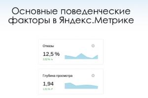 Att lära sig språket i Yandex Metrics - grundläggande termer